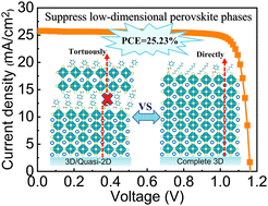 Graphical abstract: Bi-molecular kinetic competition for surface passivation in high-performance perovskite solar cells