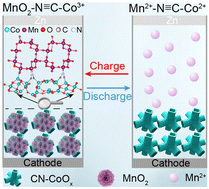 Graphical abstract: A cyano cobalt “electron transfer bridge” boosting the two-electron reaction of a MnO2 cathode with long lifespan in aqueous zinc batteries