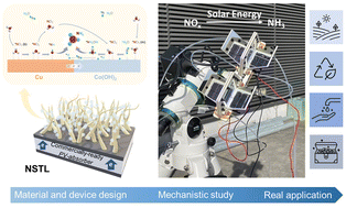 Graphical abstract: Nanostructured hybrid catalysts empower the artificial leaf for solar-driven ammonia production from nitrate