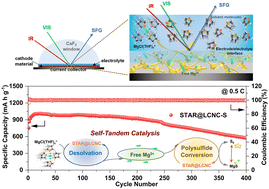 Graphical abstract: Self-tandem catalysis of fast Mg2+ desolvation and sulfur conversions for ultrahigh-performance Mg–S batteries via serially-assembled atomic reactors