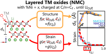 Graphical abstract: Strain and collapse during lithiation of layered transition metal oxides: a unified picture
