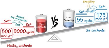 Graphical abstract: Redox Mo-chloro-species-coupled Se oxidation conversion in low-corrosion ionic liquids for fast-kinetics and durable Zn batteries