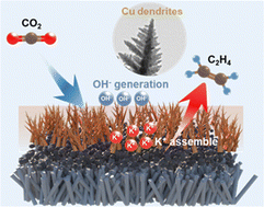 Graphical abstract: Which dominates industrial–current–density CO2-to-C2+ electroreduction: Cuδ+ or the microenvironment?