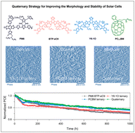 Graphical abstract: A high-efficiency and stable organic solar cell with balanced crystallization kinetics