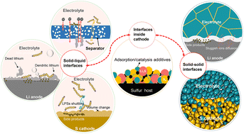 Graphical abstract: Interface engineering toward stable lithium–sulfur batteries