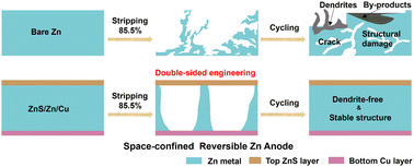 Graphical abstract: Double-sided engineering for space-confined reversible Zn anodes