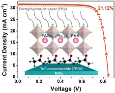 Graphical abstract: Defect-less formamidinium Sn–Pb perovskite grown on a fluorinated substrate with top-down crystallization control for efficient and stable photovoltaics