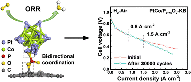 Graphical abstract: A P–O functional group anchoring Pt–Co electrocatalyst for high-durability PEMFCs