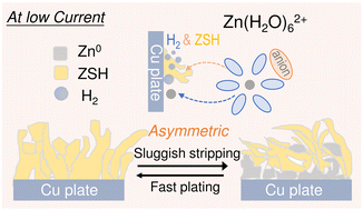 Graphical abstract: Correlating hydrogen evolution and zinc deposition/dissolution kinetics to the cyclability of metallic zinc electrodes