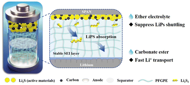 Graphical abstract: Tailoring a multi-system adaptable gel polymer electrolyte for the realization of carbonate ester and ether-based Li-SPAN batteries