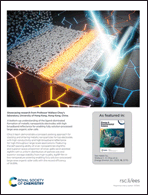 Graphical abstract: Inside back cover