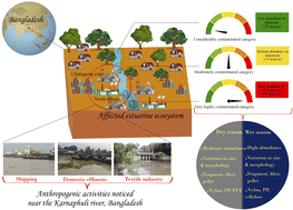 Graphical abstract: Spatiotemporal trends and characteristics of microplastic contamination in a large river-dominated estuary