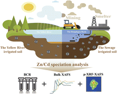 Graphical abstract: Speciation of Zn and Cd in sierozem soil, northwest China: bulk EXAFS and micro synchrotron X-ray fluorescence