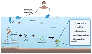 Graphical abstract: Combined effects of P25 TiO2 nanoparticles and disposable face mask leachate on microalgae Scenedesmus obliquus: analysing the effects of heavy metals