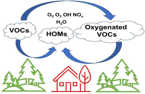 Graphical abstract: Analytical methodologies for oxidized organic compounds in the atmosphere