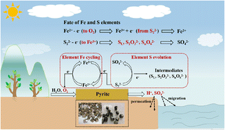 Graphical abstract: Investigating the oxidation mechanism of facet-dependent pyrite: implications for the environment and sulfur evolution
