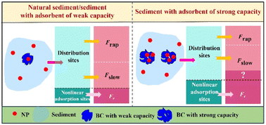 Graphical abstract: The effect of the ageing process on the desorption of nonylphenol in black carbon-sediment systems: a kineto-mechanistic and modeling investigation