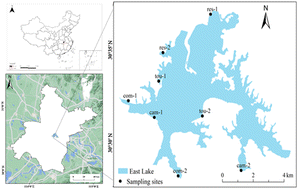 Graphical abstract: Impacts of rainfall and lakeshore soil properties on microplastics in inland freshwater: A case study in Donghu Lake, China