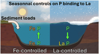 Graphical abstract: Longevity and efficacy of lanthanum-based P remediation under changing dissolved oxygen availability in a small eutrophic lake