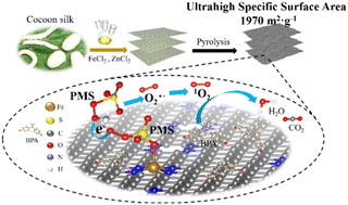 Graphical abstract: Ultrahigh surface area of single-atom iron nanosheets assists in the efficient utilization of reactive oxygen species in the peroxymonosulfate activation process for pollutant removal