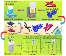 Graphical abstract: Alkaline earth metal stannate TSnO3 (T = Ca and Sr) entrapped functionalized carbon nanofiber composites: active electrocatalysts for the determination of hydroxychloroquine in environmental samples