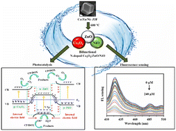 Graphical abstract: Tri-metallic ZIF mediated synthesis of defect rich N-doped Co3O4/ZnO/NiO S-scheme heterostructure for detection and photocatalytic degradation of persistent organic pollutants