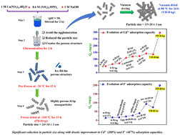 Graphical abstract: Physical modification of hydroxyapatite: the drastic enhancement of both cation (Cd2+) and anion (F−) adsorption and recycling efficiency