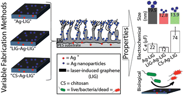 Graphical abstract: Silver nanoparticle doped laser-induced graphene fabrication methodology affects silver nanoparticle size, distribution, biological and electrochemical properties