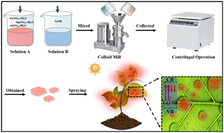 Graphical abstract: Europium-doped layered double hydroxide with spectral conversion property for enhanced photosynthesis