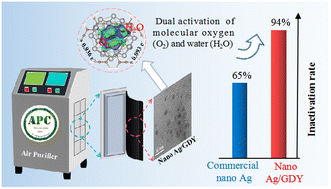 Graphical abstract: Insights into efficient bacterial inactivation over nano Ag/graphdiyne: dual activation of molecular oxygen and water molecules