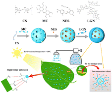 Graphical abstract: Development of lignin-coated natural polysaccharide-based nanopesticides for both high foliar adhesion and rapid release of pesticide molecules against bacteriostasis