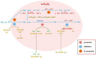 Graphical abstract: Nitrate formation and iron dissolution in the heterogeneous reactions of NH3 on nano α-Fe2O3
