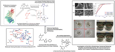 Graphical abstract: Rational design and synthesis of l-carvone-derived 4-methyl-1,2,4-triazole-thioether/nanochitosan complexes as potent nanopesticides for sustainable and efficient herbicidal application
