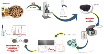 Graphical abstract: Waste-derived carbon nanodots for fluorimetric and simultaneous electrochemical detection of heavy metals in water