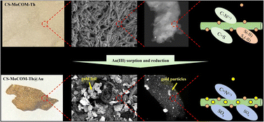 Graphical abstract: Importance of a nano-sized molybdenum composite synthesized using a microwave oven in the sorption enhancement of Au(iii) from the aqueous phase