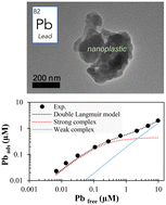 Graphical abstract: Mechanistic description of lead sorption onto nanoplastics