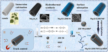 Graphical abstract: A novel bio-template route to synthesize enzyme-immobilized MOF/LDH tubular magnetic micromotors and their application in water treatment