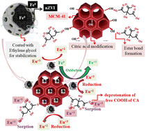 Graphical abstract: Green synthesis of a potential magnetic and mesoporous EG-nZVI/CA-MCM41 nanocomposite for reductive sorption of europium