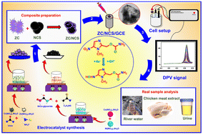 Graphical abstract: 3D architectured zinc–chromium layered double hydroxide with nickel cobalt sulfide composite for the electrochemical detection of ronidazole