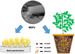Graphical abstract: Fe–carbon nanofiber-modified Mo-MOF for the controlled release and translocation of micronutrients in plants