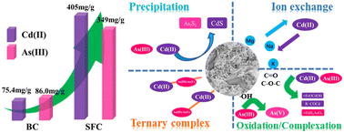 Graphical abstract: High-efficiency removal of Cd(ii) and As(iii) from irrigation water using a S–Fe–C composite: performance and mechanisms