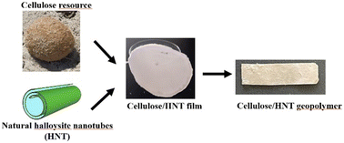 Graphical abstract: Composite materials based on halloysite clay nanotubes and cellulose from Posidonia oceanica sea balls: from films to geopolymers