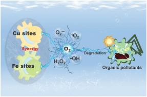 Graphical abstract: Critical role of dissolved oxygen and iron–copper synergy in dual-metal/char catalyst systems