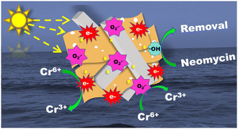 Graphical abstract: Facile fabrication of a Z-scheme g-C3N5/Gd-MOF/silver nanocube composite as a new generation visible light active photocatalyst for abatement of persistent toxic pollutants