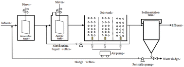 Graphical abstract: The study on the changing pattern of microbial community function and phenotypes in anaerobic–anoxic–oxic (A2O) process under the influence of temperatures in plateau habitats