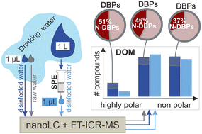 Graphical abstract: Direct non-target analysis of dissolved organic matter and disinfection by-products in drinking water with nano-LC-FT-ICR-MS