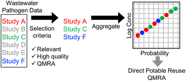 Graphical abstract: Identifying and aggregating high-quality pathogen data: a new approach for potable reuse regulatory development