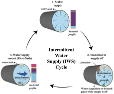 Graphical abstract: Bacterial communities in a neotropical full-scale drinking water system including intermittent piped water supply, from sources to taps