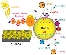 Graphical abstract: Simultaneous elimination of toxic dyes, ciprofloxacin and Cr(vi) contents from polluted water: escalating surface plasmon electrons of Ag cocatalysts on BiVO4 microstructures