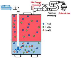 Graphical abstract: Trihalomethane, haloacetic acid, and haloacetonitrile behaviors in water heater storage tanks